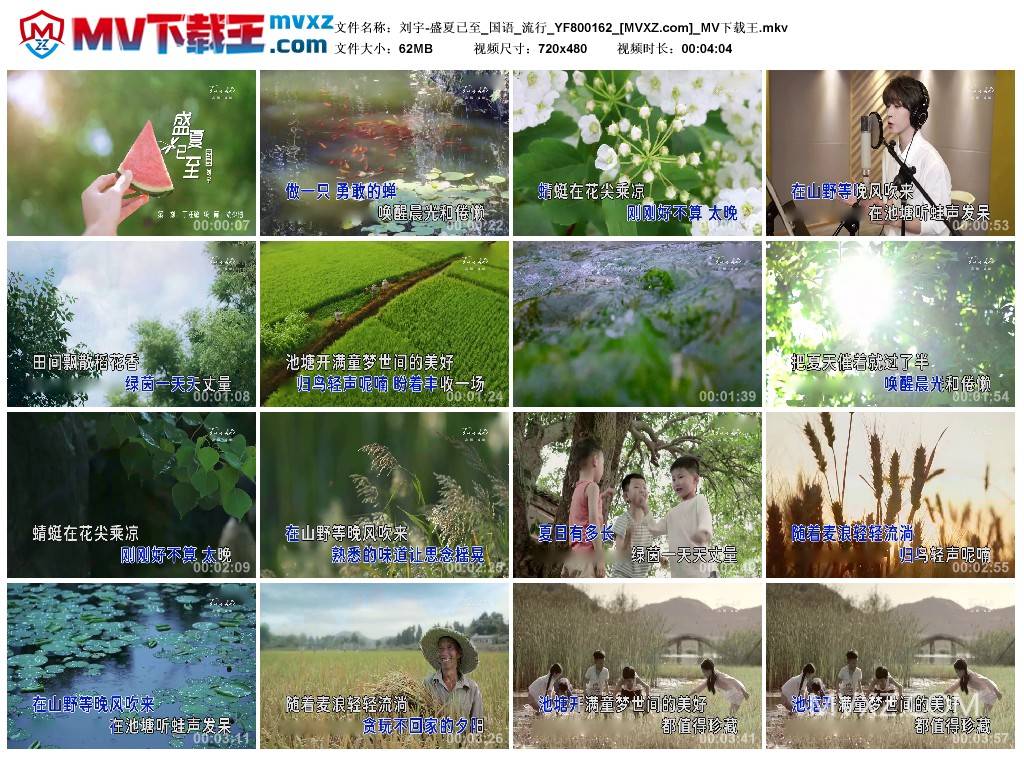 刘宇-盛夏已至_国语_流行_YF800162